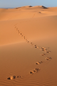 sand footsteps